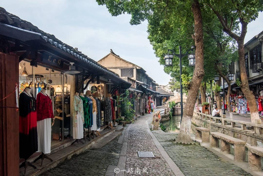 小长颈鹿逃离